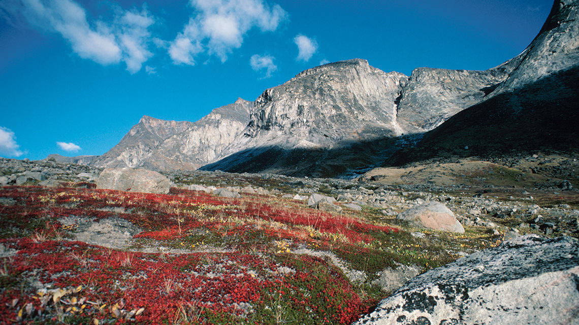 A rocky landscape with grass and red plants in the foreground, tall mountains in the background, and a blue sky above.