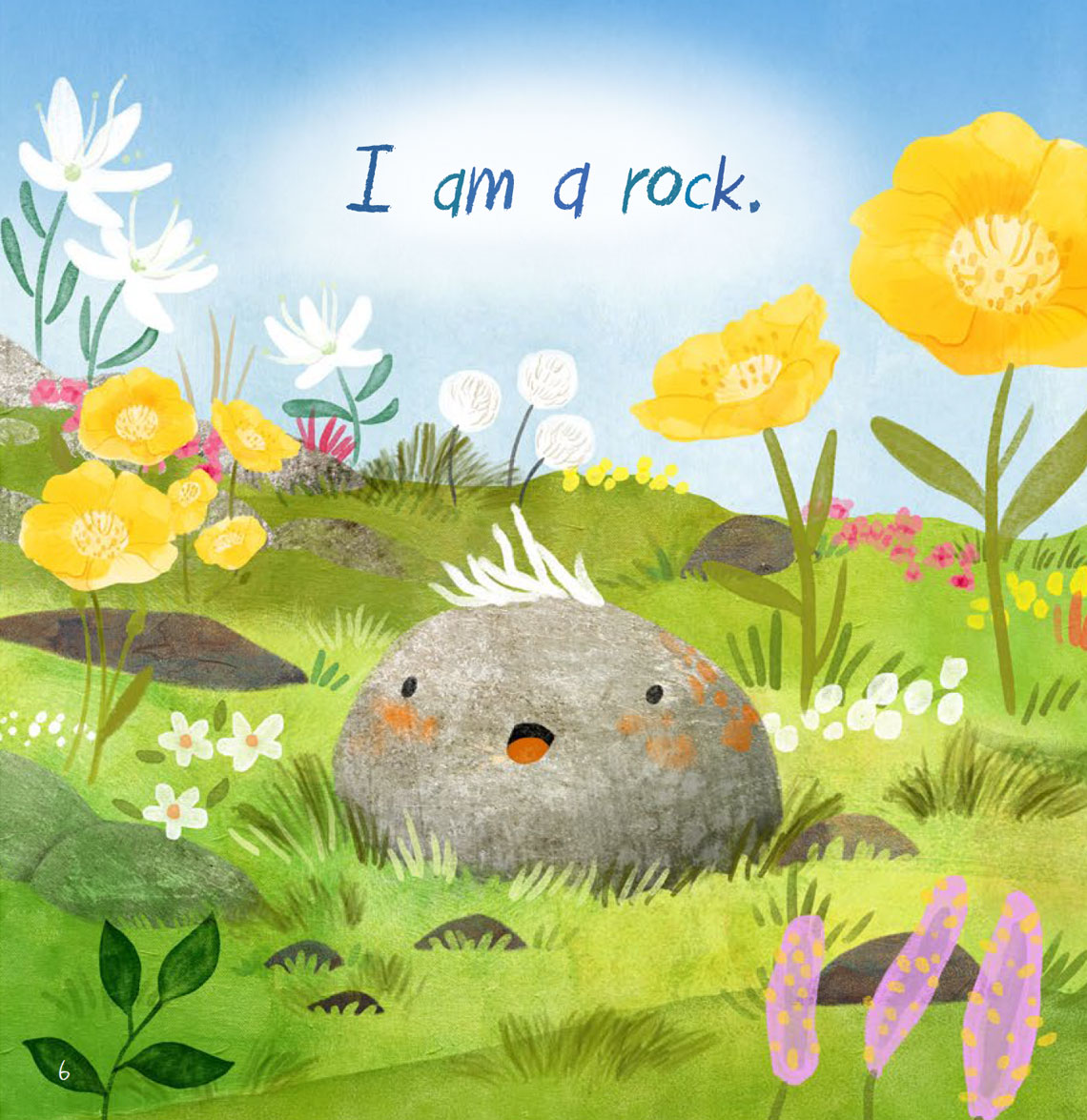 I am a rock.