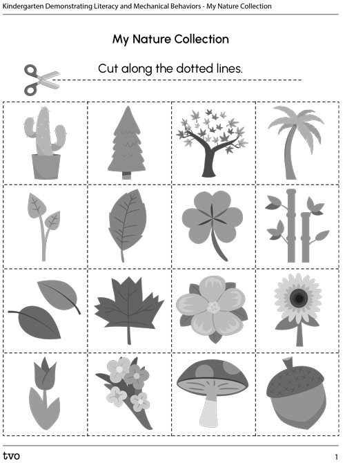 My Nature Collection
