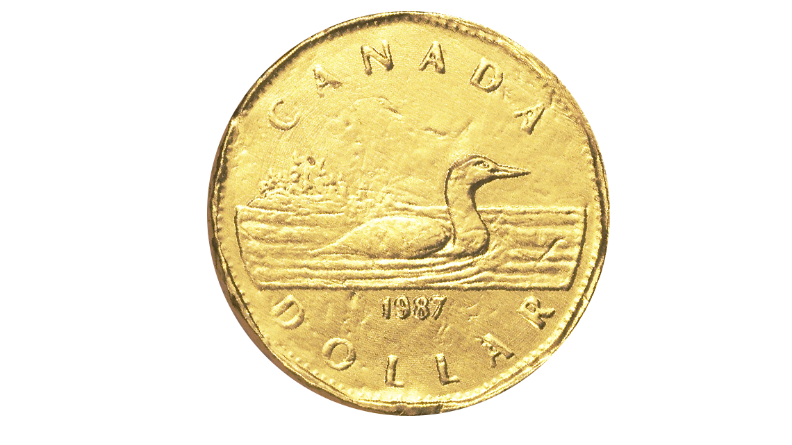 A loonie coin with a bird called a loon on it. The coin is gold and is worth 1 dollar.