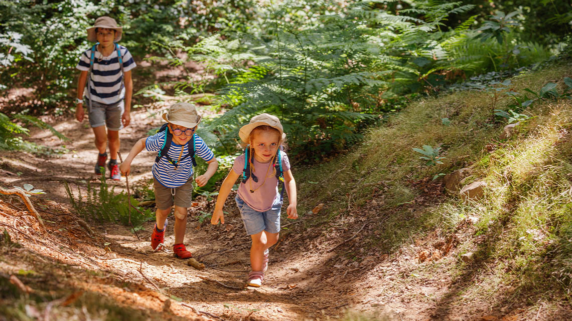 A guardian and two children walking up a rocky pathway surround but trees and plants.