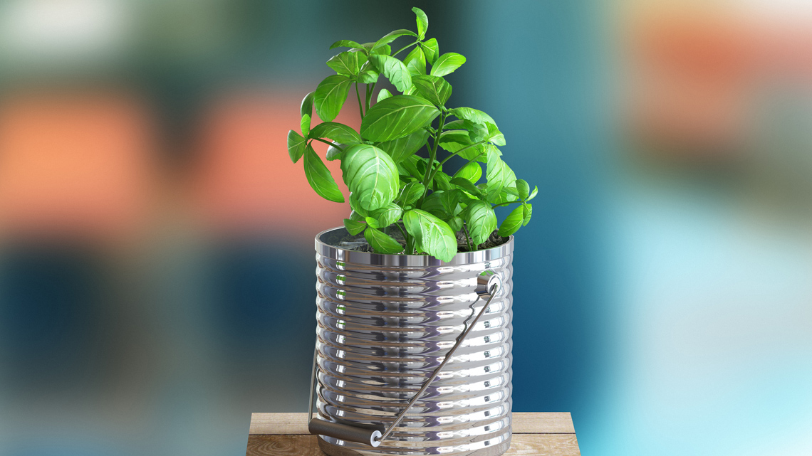 Plants growing out of a metal can filled with dirt.