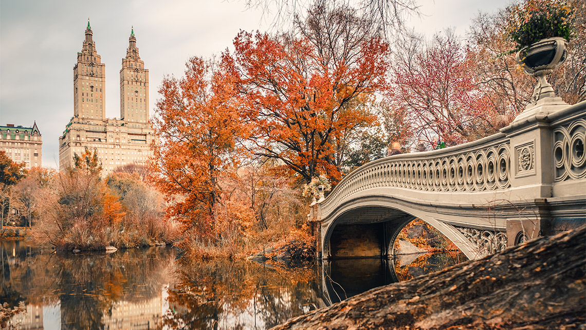 A part of Central Park in New york during autumn season.