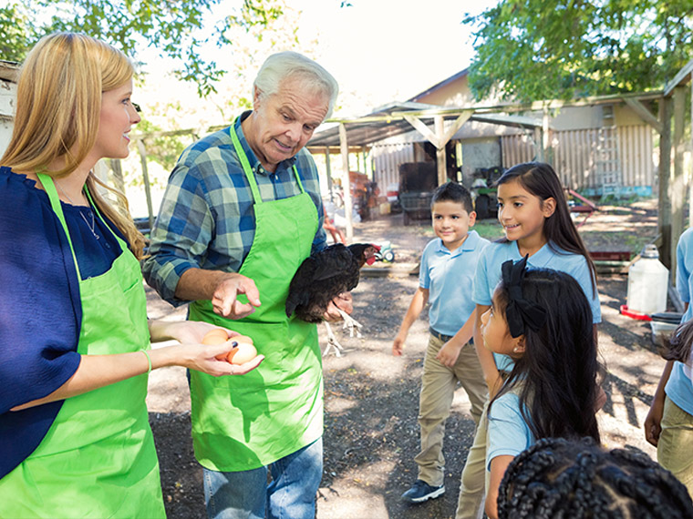 Students at an animal farm