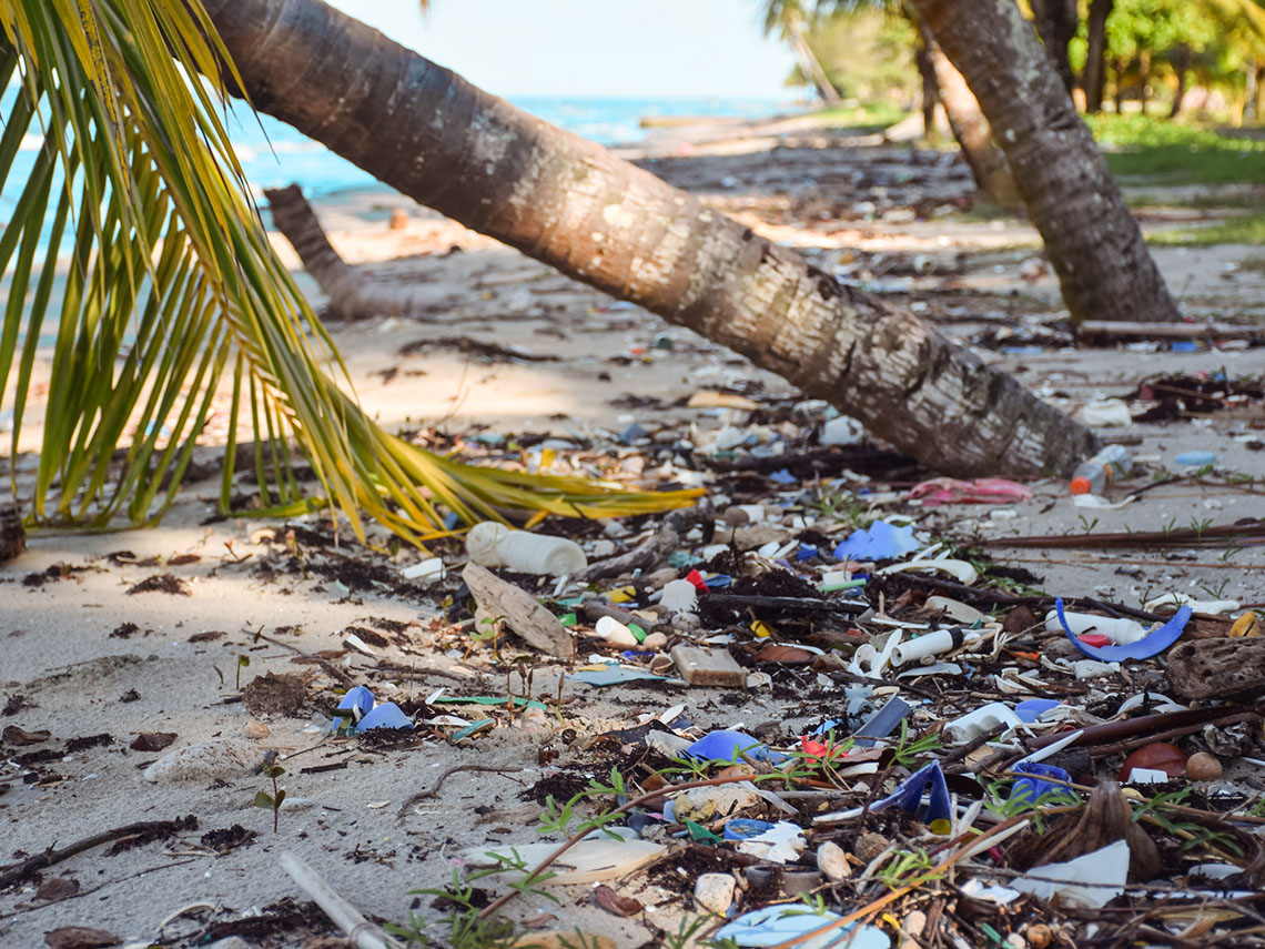 An image of a cluttered white sand beach. On this beach, there are palm trees ad a blue sea and sky in the background.