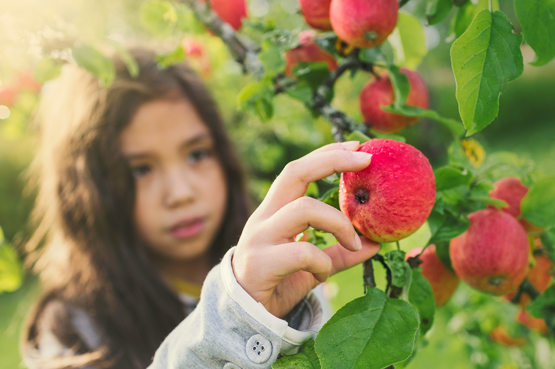 A child holding a red apple