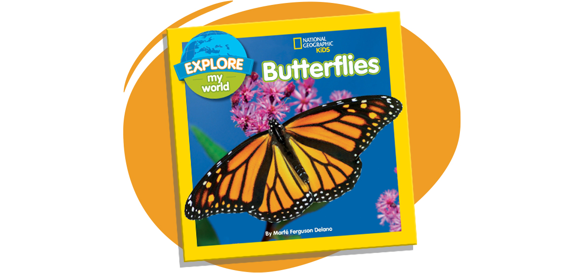 Explore My World Butterflies