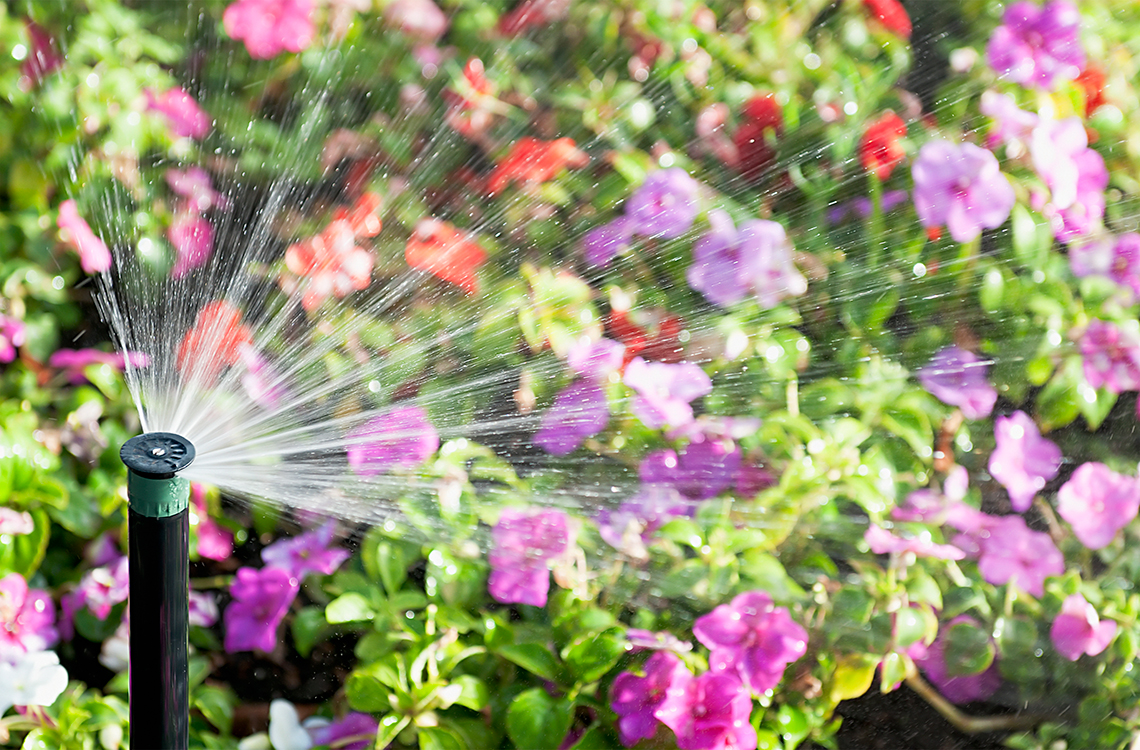 We use water in our gardens.