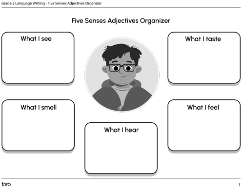 Graphic organizer