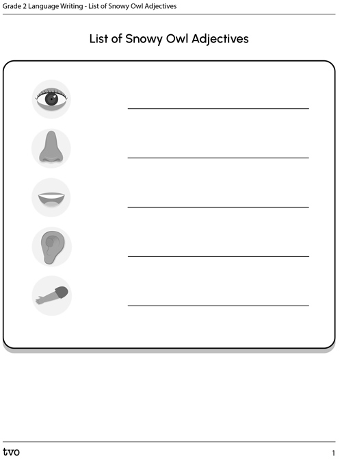 List of Snowy Owl Adjectives