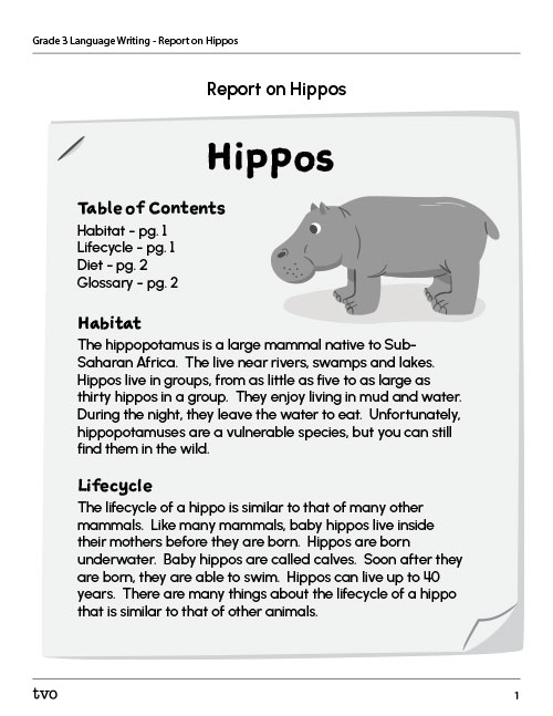 Report on hippos