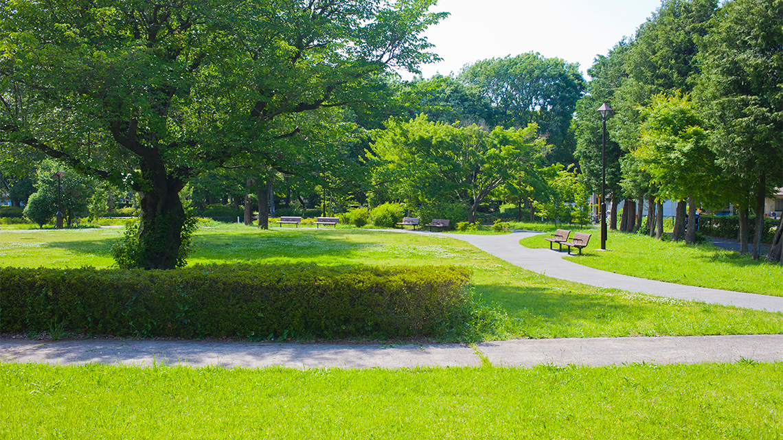 Outdoor park with paved walkways, benches grass and trees