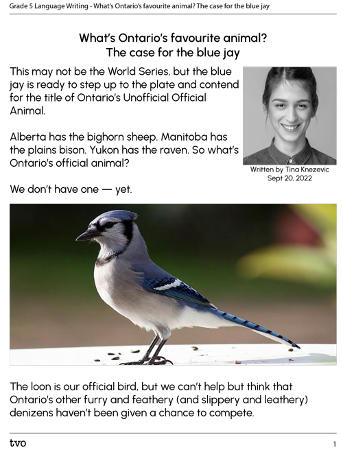 What’s Ontario’s favourite animal? The case for the blue jay.