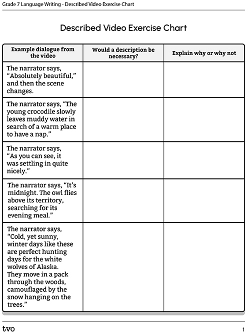 Described Video Exercise Chart