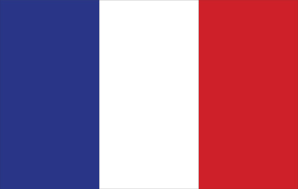 Flag with 3 vertical stripes divided equally in this colour order: blue, white, red.