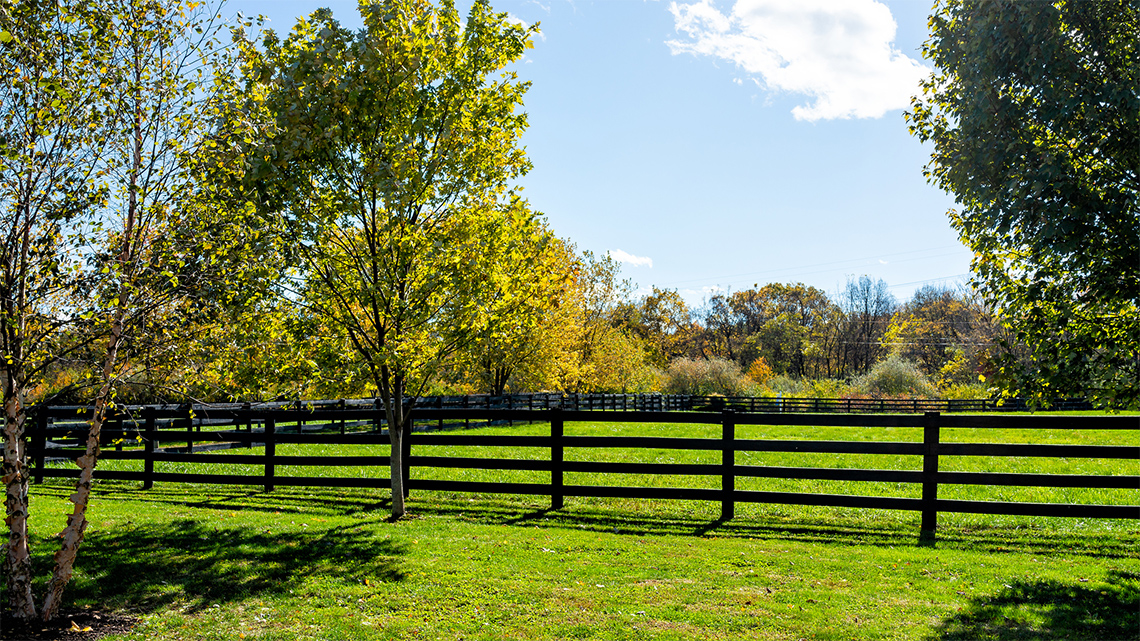A fence with evenly spaced vertical posts that are all connected by 4 horizontal pickets.