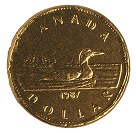 Canadian one dollar coin called a loonie too has a picture of a loon, the national bird of Canada.