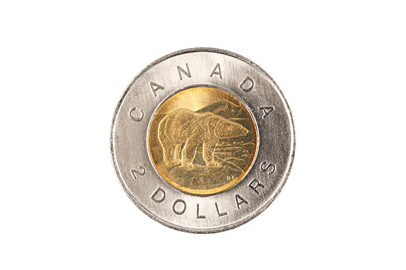  A two-coloured Canadian coin with a polar bear, also known as a toonie.