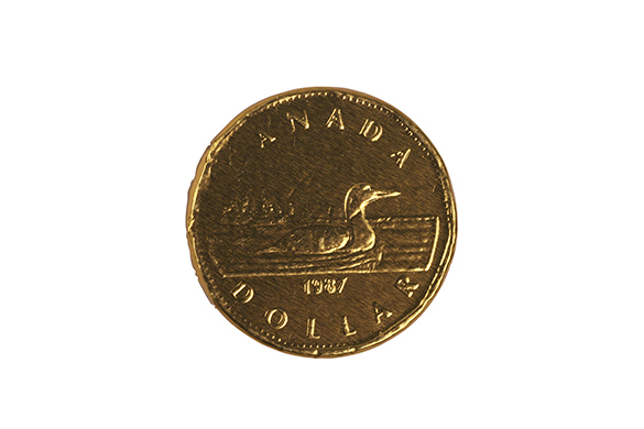 A Canadian coin with a loon, also known as a loonie.