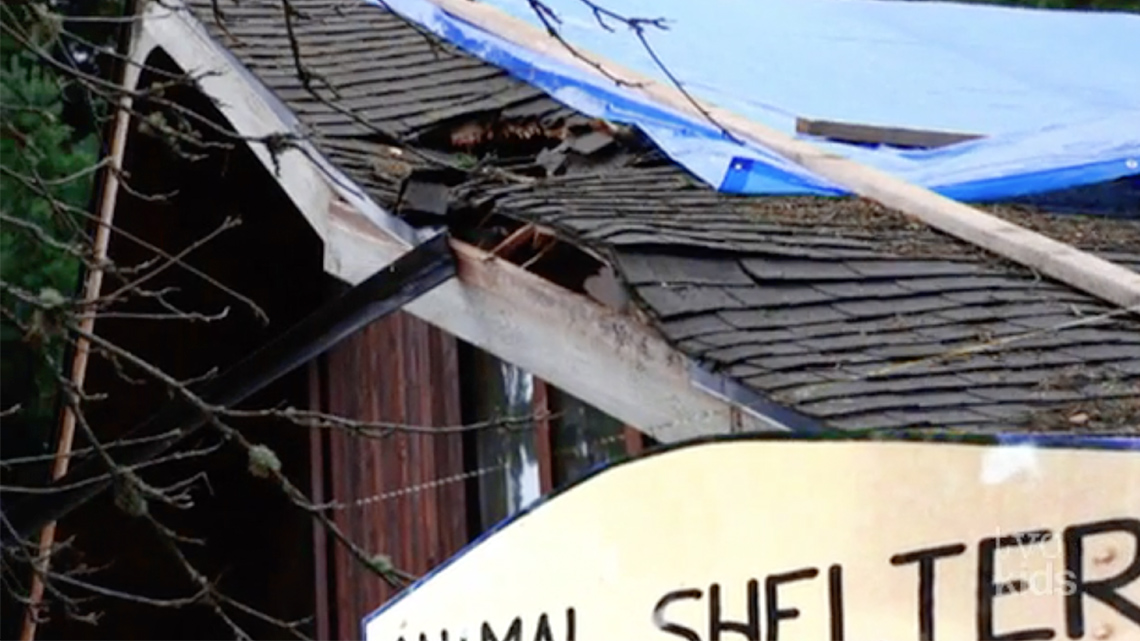 An animal shelter needs help to repair their broken roof.