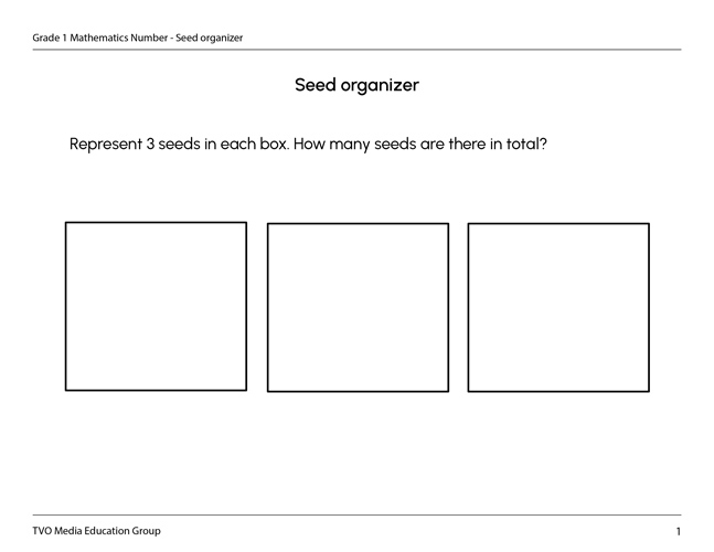 Seed organizer