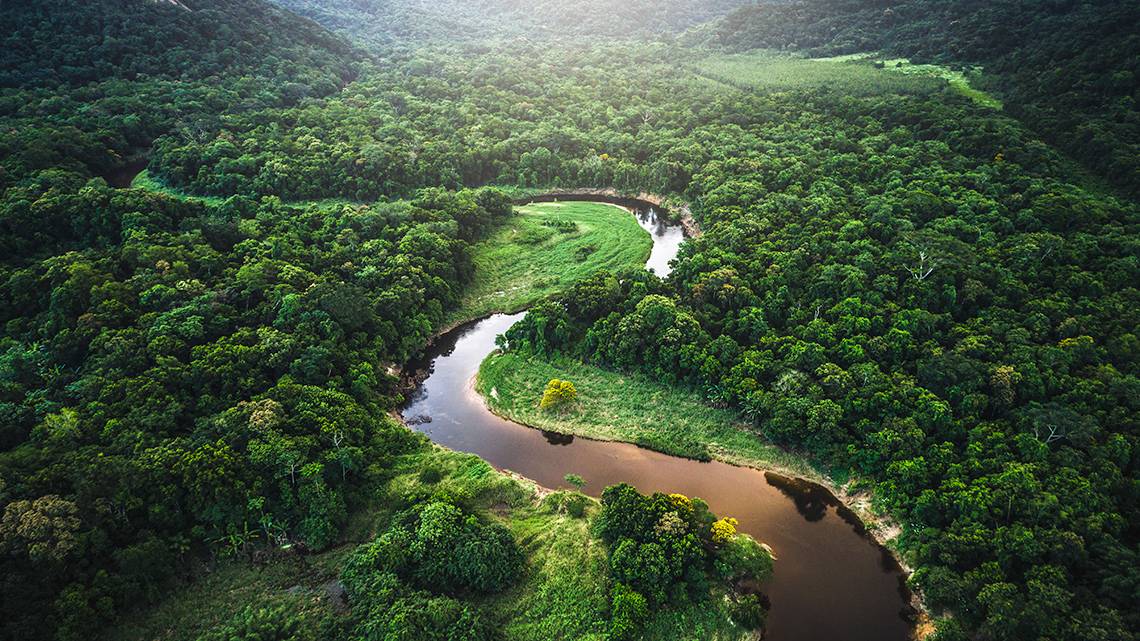 Aerial view of the Amazon rainforest
