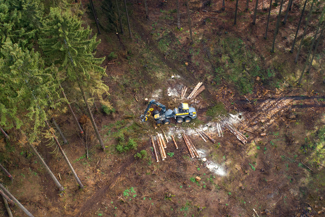 In a forest, a tree harvester is cutting down trees in the area and placing cut trees in piles.