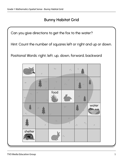 Bunny Habitat Grid