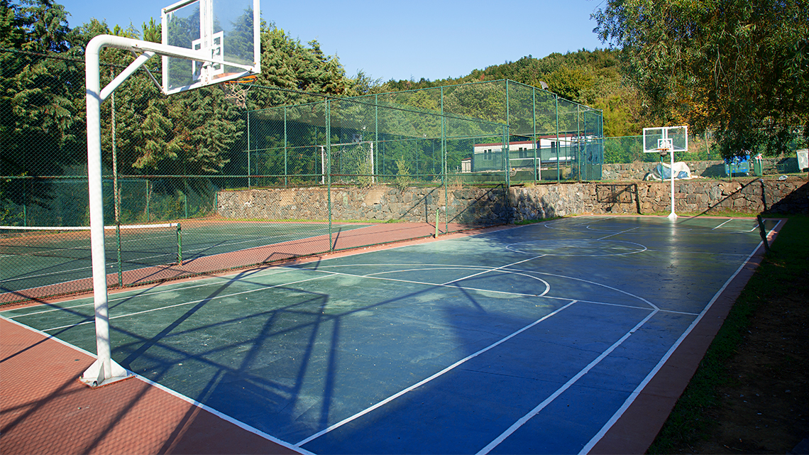 A basketball court with two basketball nets on either side, and markings on the court.