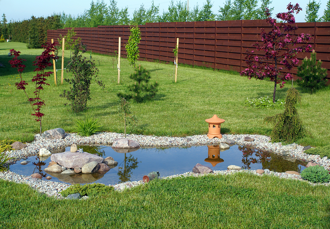Garden with a Small Pond