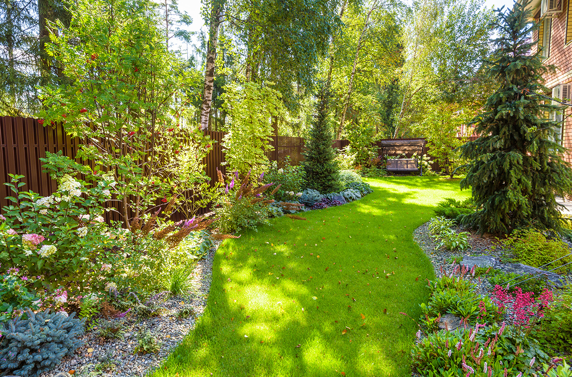 Backyard Garden