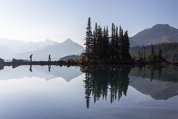 Objects Reflected in a Lake