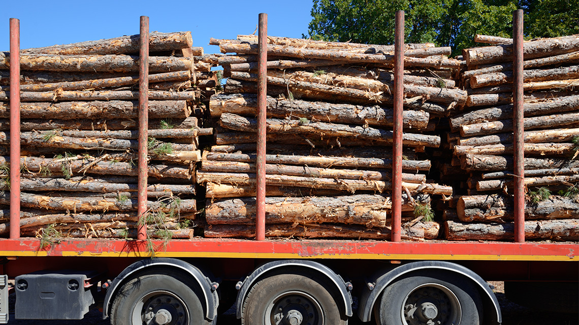 A truck with a trailer of logs stacked on top of each other.