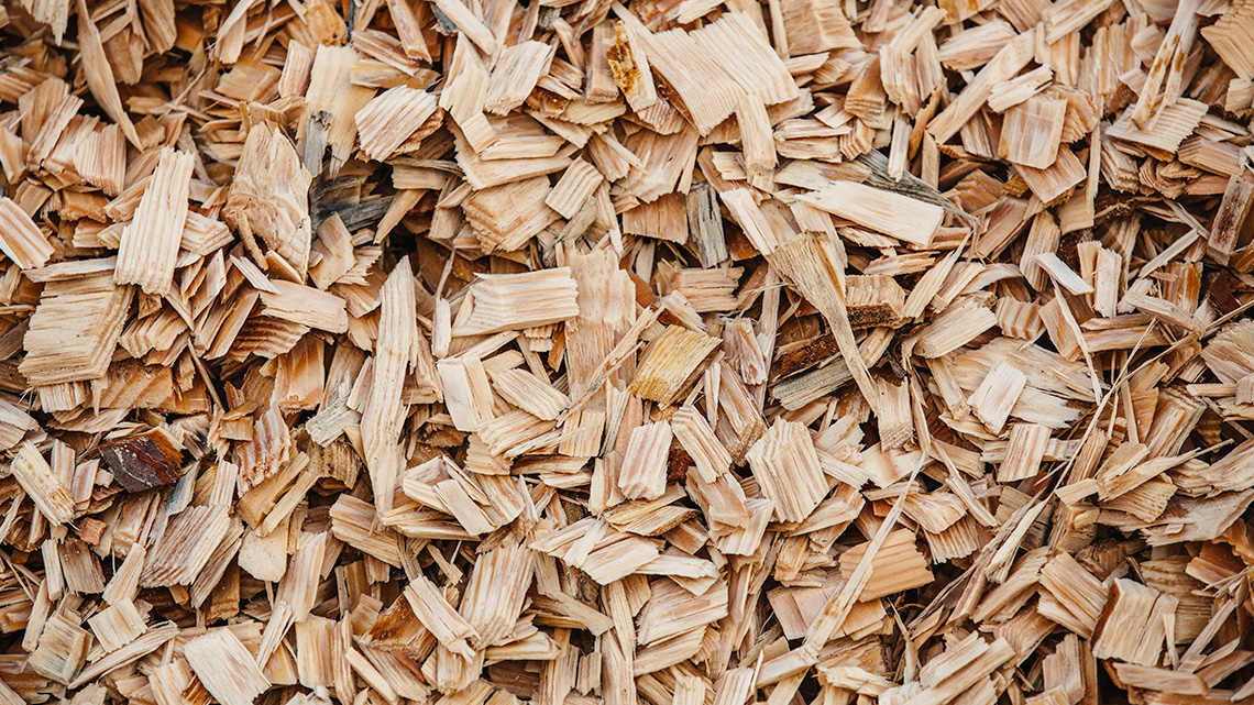 A pile of small, thin rectangles of wood, called wood chips.