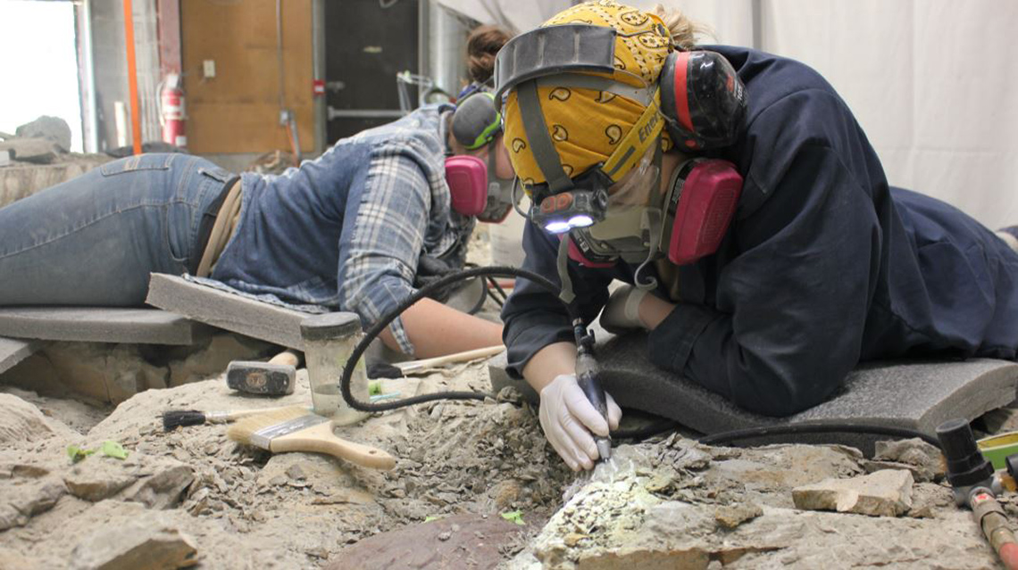 Two paleontologists wearing respirator masks and lying on boards carefully chisel away at a large block to dig up various fossils.