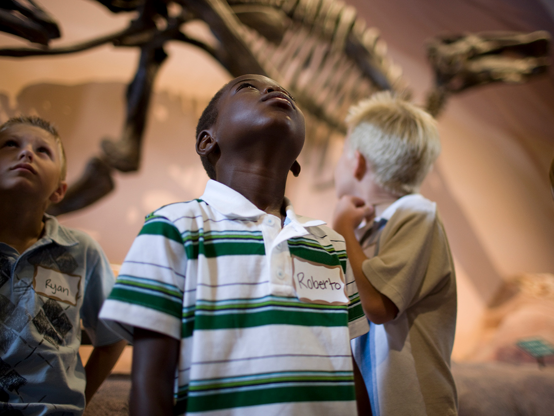 Three students look up and around at displays of dinosaur bones indoors in a museum. A large dinosaur skeleton is in the background.