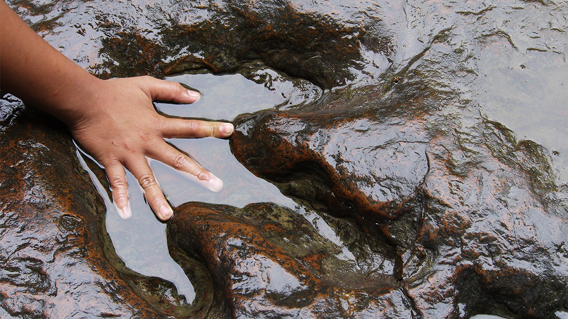 A young person places their spread-out hand into a dinosaur footprint, set in smooth rock, that is partially filled with water.