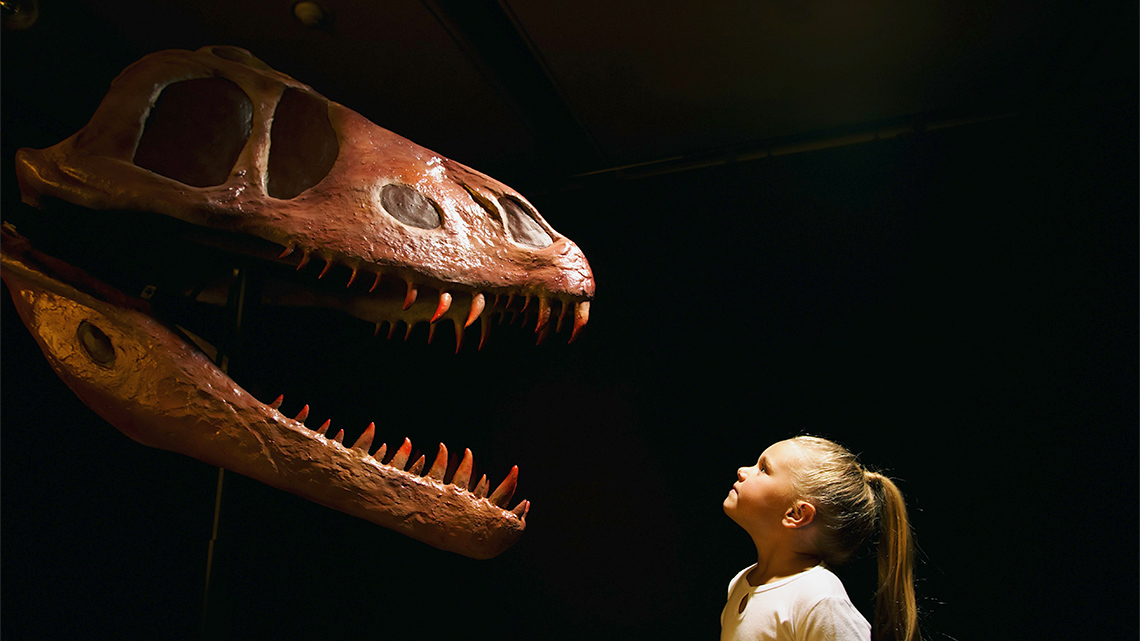 A young person stares up at the head of a T-Rex dinosaur skeleton, its mouth open showing pointy teeth, against a black background indoors.