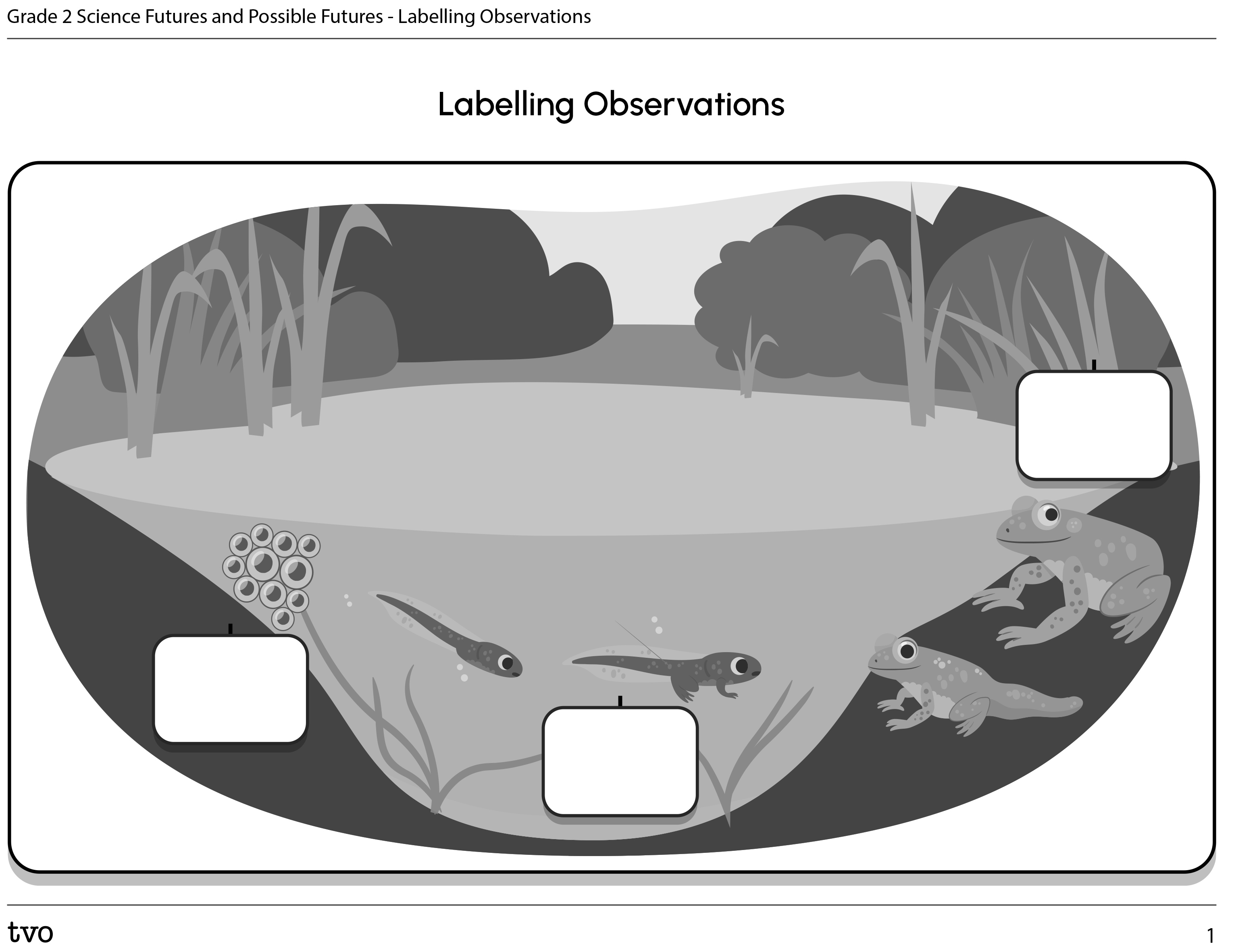 Labelling Observations