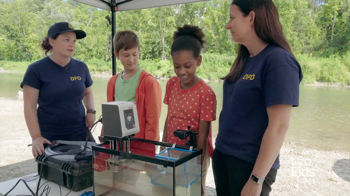 Two young people and two adult researchers stand around an aquarium tank, underneath a canopy, discussing their studying of fish behaviour.