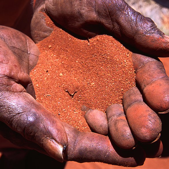 Red sandy soil in the palm of someone’s hands