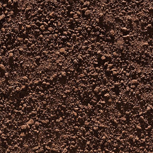 Rich brown silt soil outside