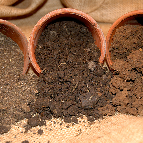Loamy soil coming out from a pot