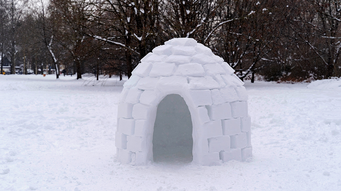 A dome made of blocks of snow with an arch-shaped entrance.