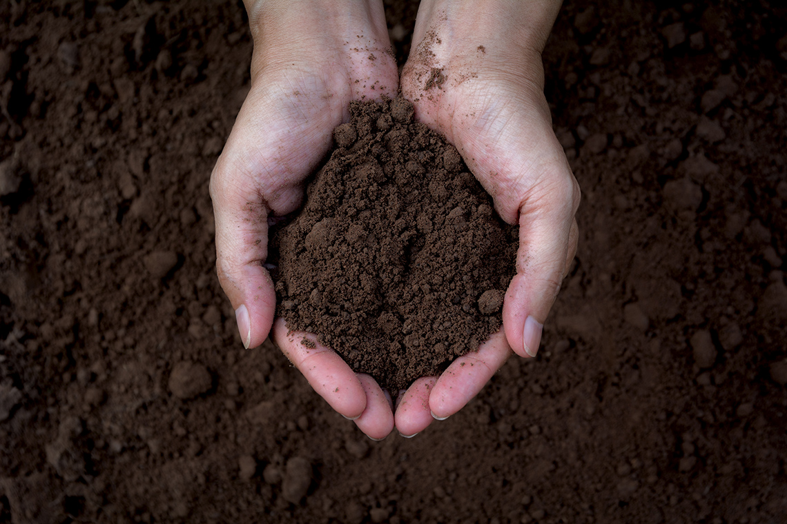 Hands holding soil, with soil in background.