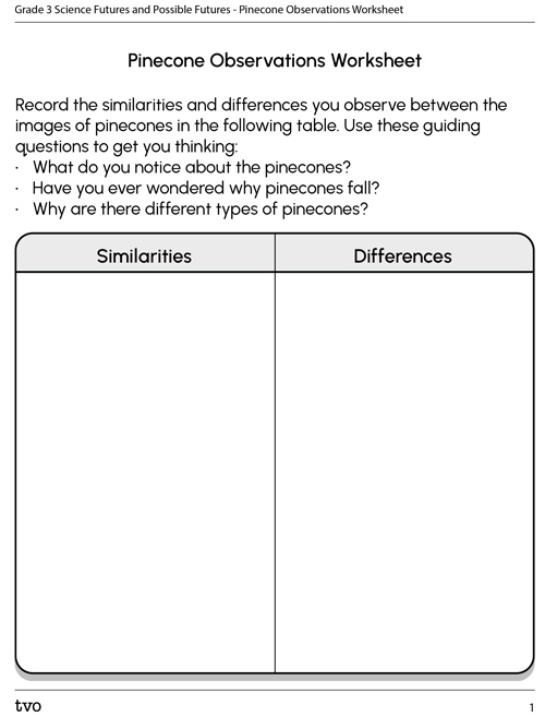 Pinecone Observations Worksheet