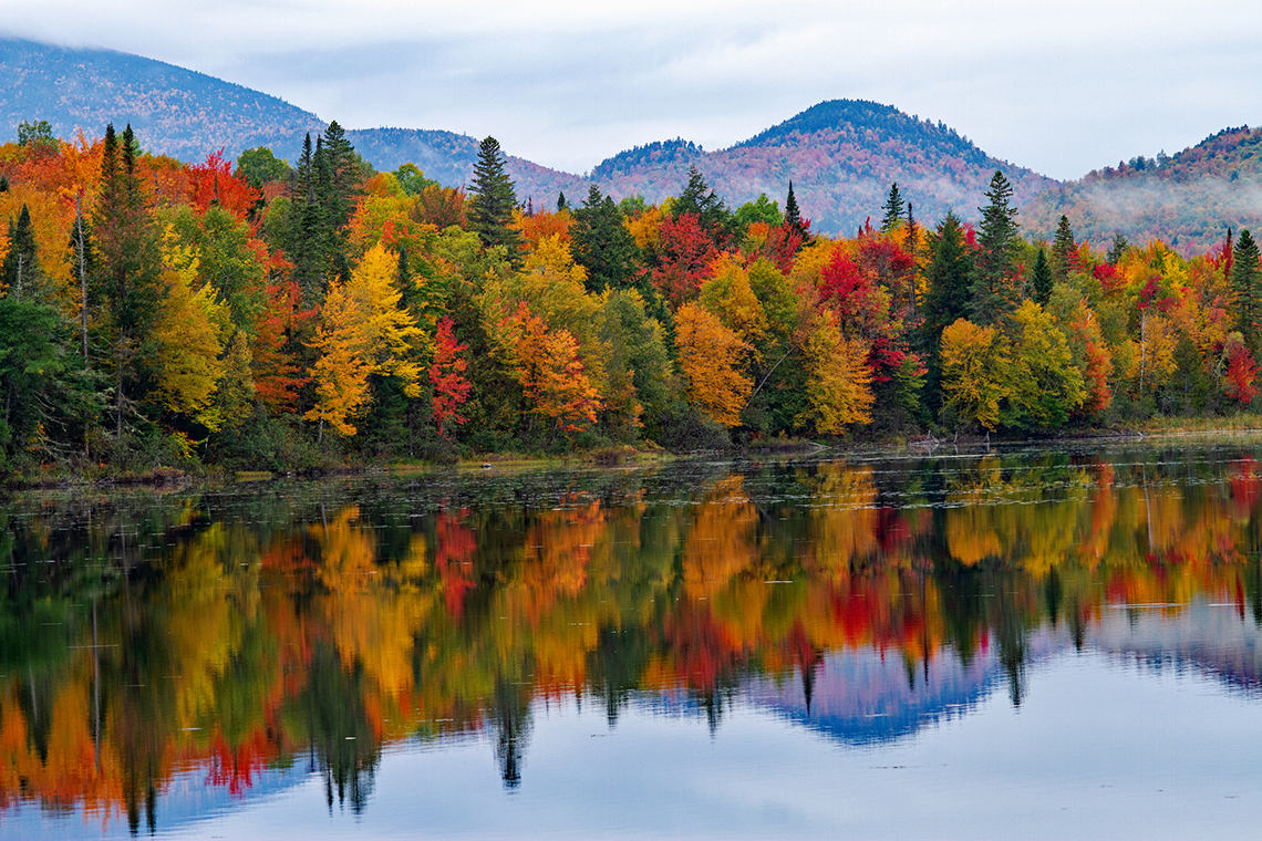 Trees lines the shore of a body of water. The trees are changing colour as the season changes.