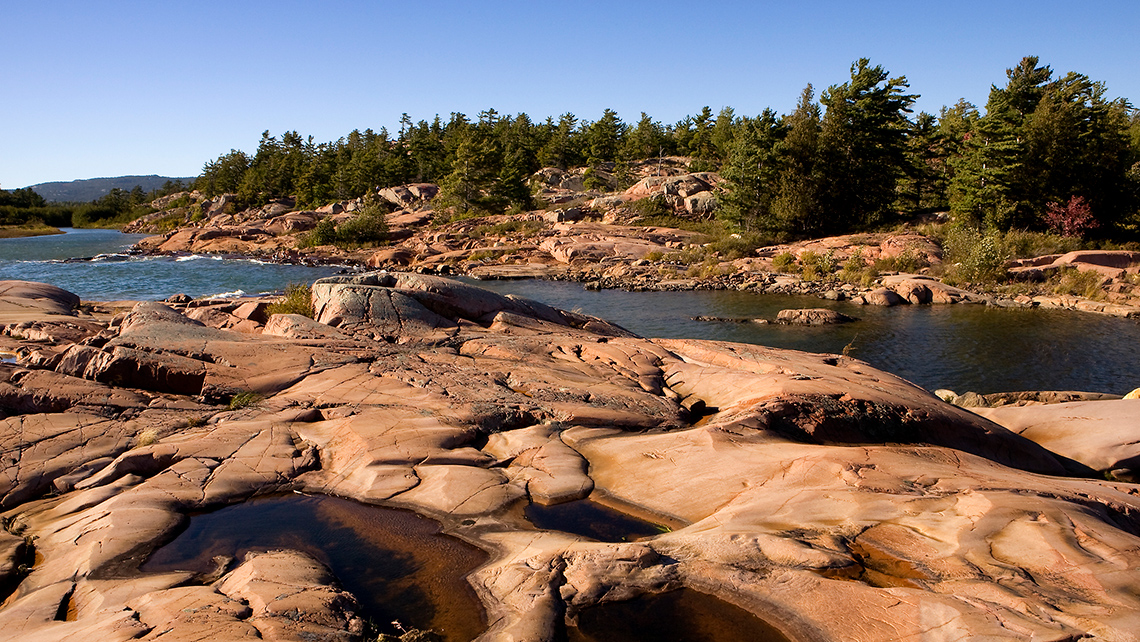 A coastline made of solid rock with pine trees in the background.