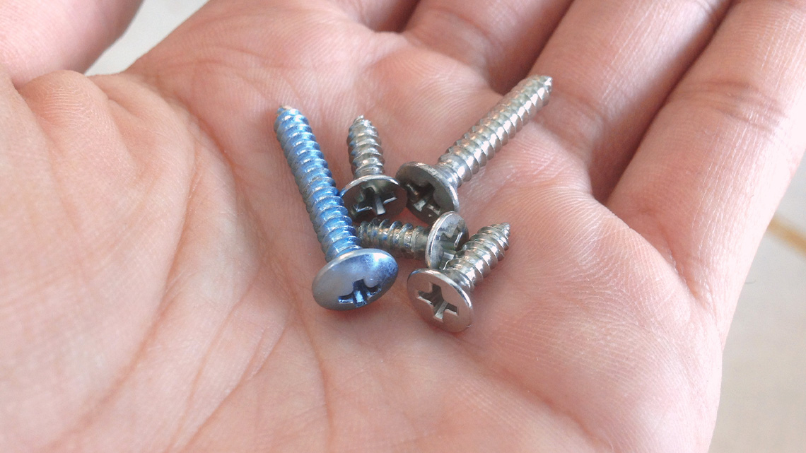 Five screws in the palm of someone's hand.