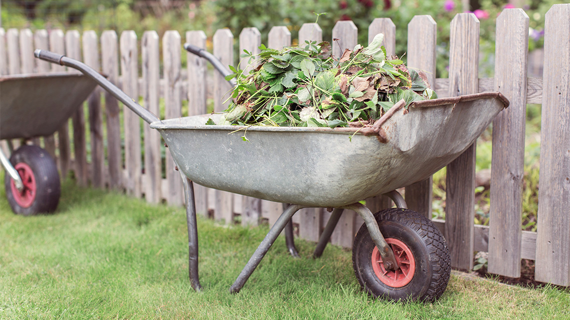 A wheelbarrow with a large metal container, two wooden handles, and a rubber tire.